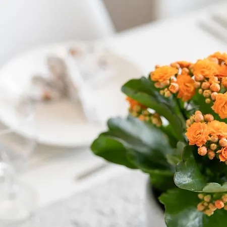 Vasko Luxurious Suites, Kelo * Rovaniemi