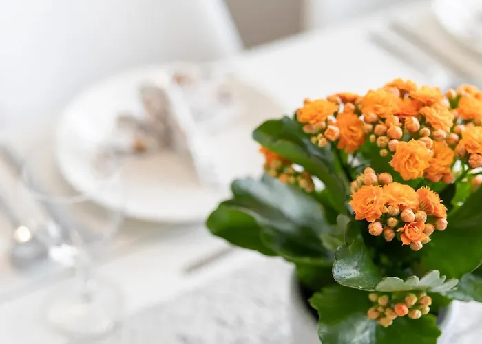 Vasko Luxurious Suites, Kelo * Ροβανιέμι