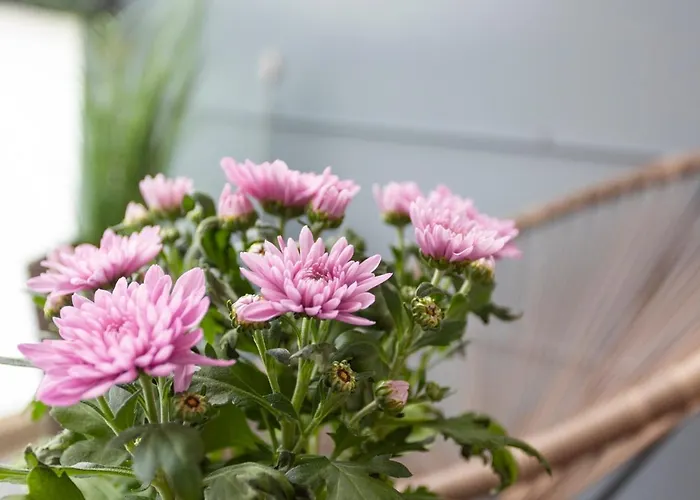 Vasko Luxurious Suites, Kelo Διαμέρισμα